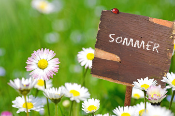 Schild - Sommer