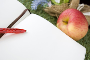close up red pen on white page