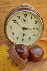 Old clock and chestnut
