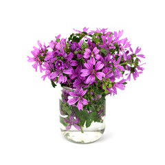 Naklejka na ściany i meble dzikie fioletowe kwiaty w szklanym słoiku