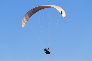 paraglider