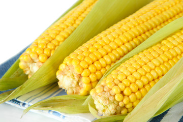 Crude corns on napkin isolated on white