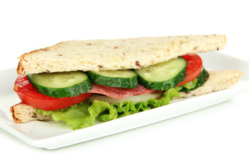 Tasty sandwich with salami sausage and vegetables