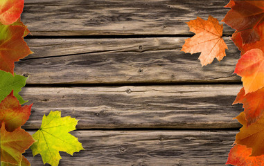 Naklejka na ściany i meble Holzhintergrund mit bunt gefärbten Herbstblättern