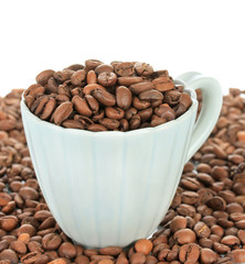 Coffee beans in cup on white background