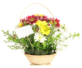 Fototapeta na wymiar Bouquet of fresh flowers for sale isolated on white
