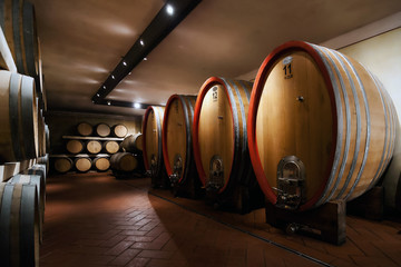 Oak barrels in the cellar. Winery