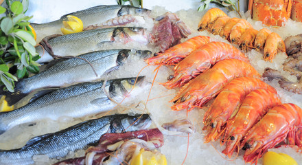 Seafood on market