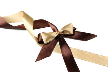 Color gift satin ribbon bow, isolated on white