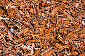 Background of natural wood shavings