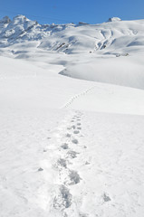 Fototapeta na wymiar Ślady na śniegu. Szwajcaria