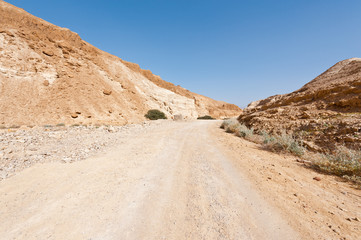 Road in Desert