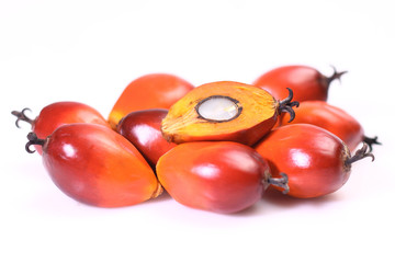 Oil palm fruit