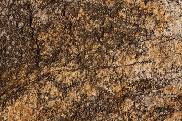 Stone yellow - brown color