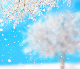 winter background