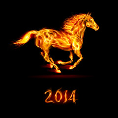 Obraz na płótnie Canvas New Year 2014: fire horse.