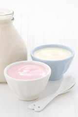 Obraz na płótnie Canvas butelka mleka i świeże jogurt