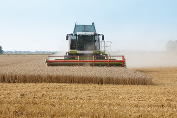 Fototapeta na wymiar grain harvester