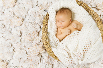 Baby newborn sleeping in art basket on white leaves