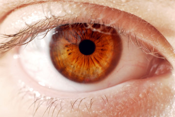 closeup eye