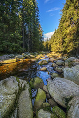 river in the morning sunlight