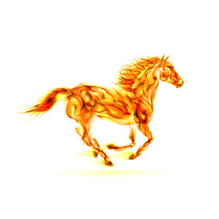 Fototapeta na wymiar Running fire horse.