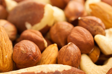 Nuts background