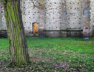 Old wall of the church door and the tree