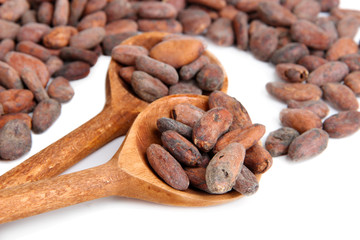 Cocoa beans in wooden spoons, isolated on white