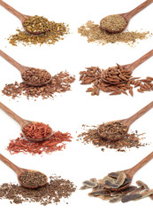 Medicinal Herbs
