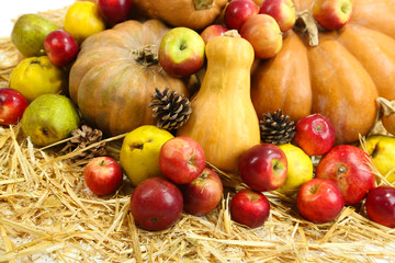 Autumn composition of fruits and pumpkins on straw close-up