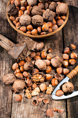 Hazelnuts and walnuts