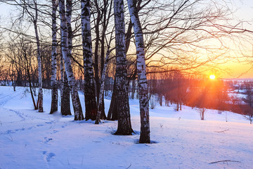 Winter park at sunset