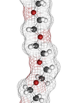 Polyethylene glycol 10.000 (PEG 10.000) molecule