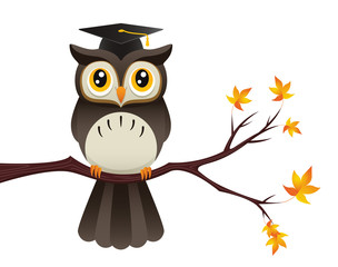 Teacher Owl
