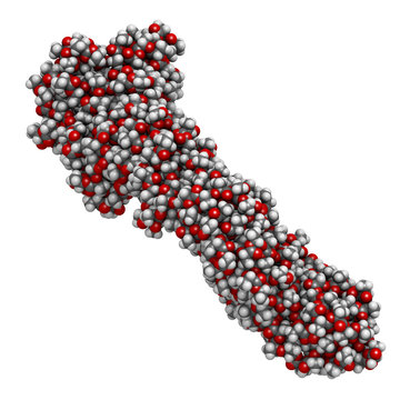 Polylactic acid (PLA, polylactide) bioplastic