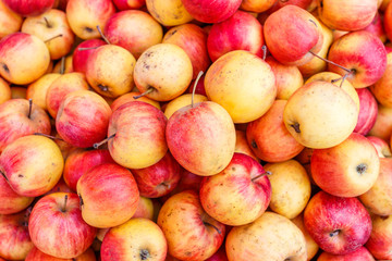 apples in  market