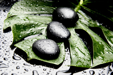 Obraz na płótnie Canvas Black stones on green leaf with water drops