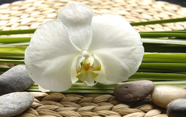 Beautiful orchid and stones on wicker mat