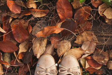 shoes on the autumn foliage