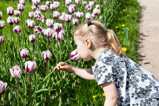 Small girl in summer dress smelling pink tulips