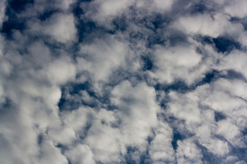 Obraz premium Blue Sky Image