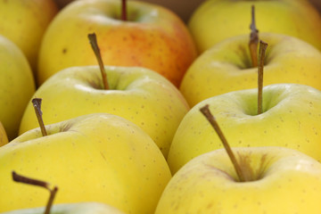 Äpfel