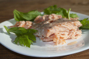 salmon grilled fillet