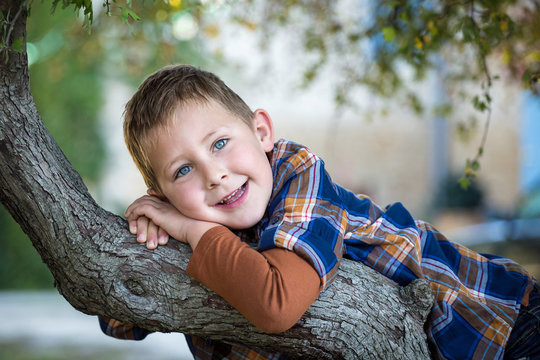 Portrait d'un petit garçon dans un arbre