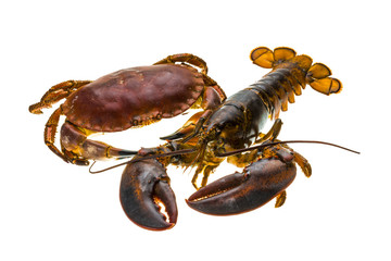 Raw Lobster and Crab