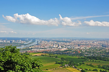 vienna
