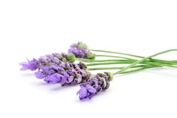 Rolgordijnen lavender flowers © nito