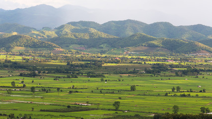 The rice field at Chiang Mai , Thailand