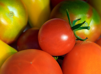 Jesienne Pomidory